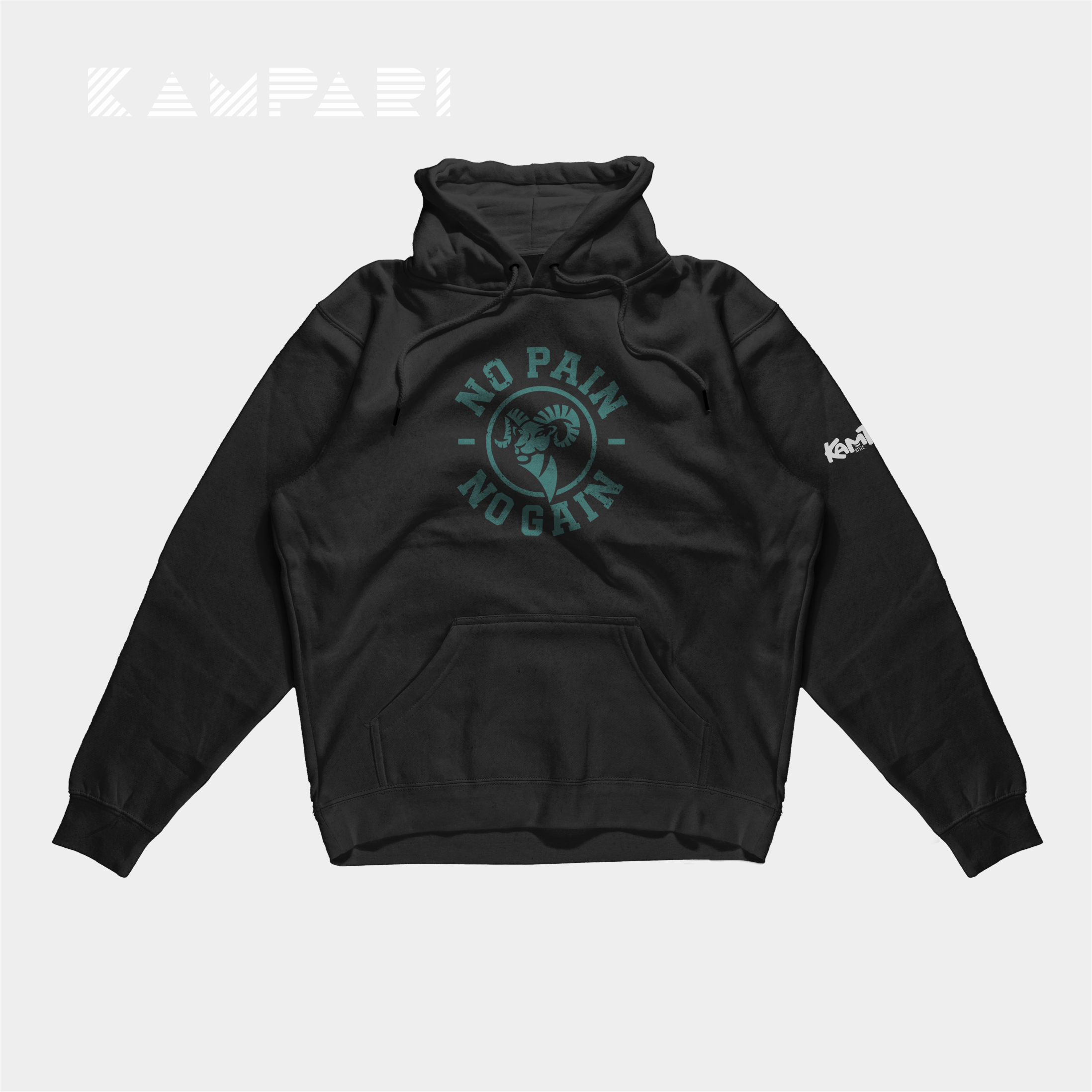 HOODIE NO PAIN NO GAIN